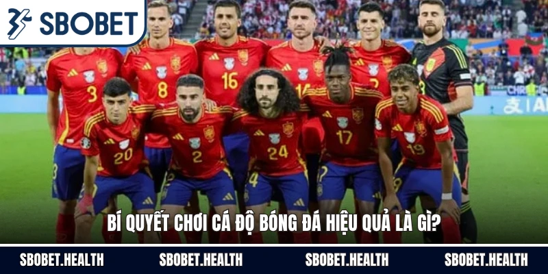 Bí quyết chơi cá độ bóng đá hiệu quả là gì?