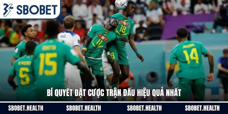 Bí quyết đặt cược trận đấu hiệu quả nhất