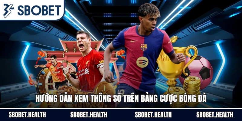 Hướng dẫn xem thông số trên bảng cược bóng đá