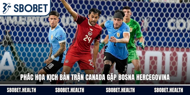 Phác họa kịch bản trận Canada gặp Bosna Hercegovina