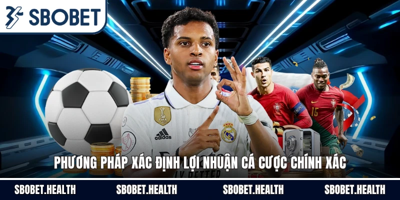 Phương pháp xác định lợi nhuận cá cược chính xác