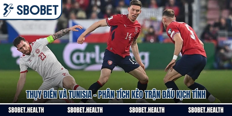 Thụy Điển Và Tunisia - Phân Tích Kèo Trận Đấu Kịch Tính